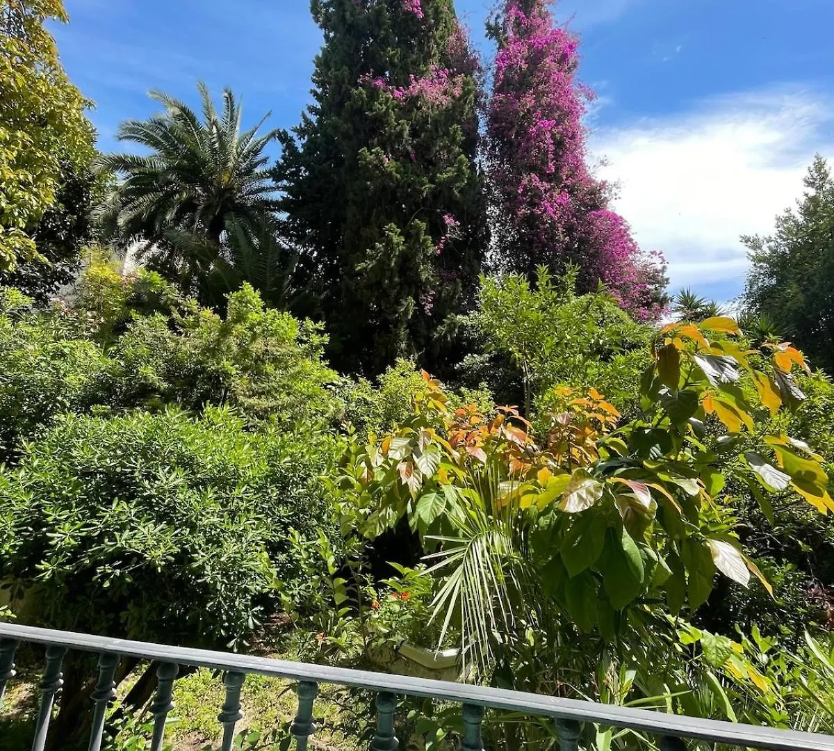 Carre D'Or, Superbe Apartment Sur Jardin, Elegant Et Ensoleille Nizza Francia